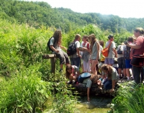 Fotografia:  Źródełko w Parku Narodowym Jezior Plitwickich